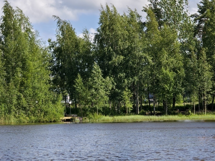 Фото: МК