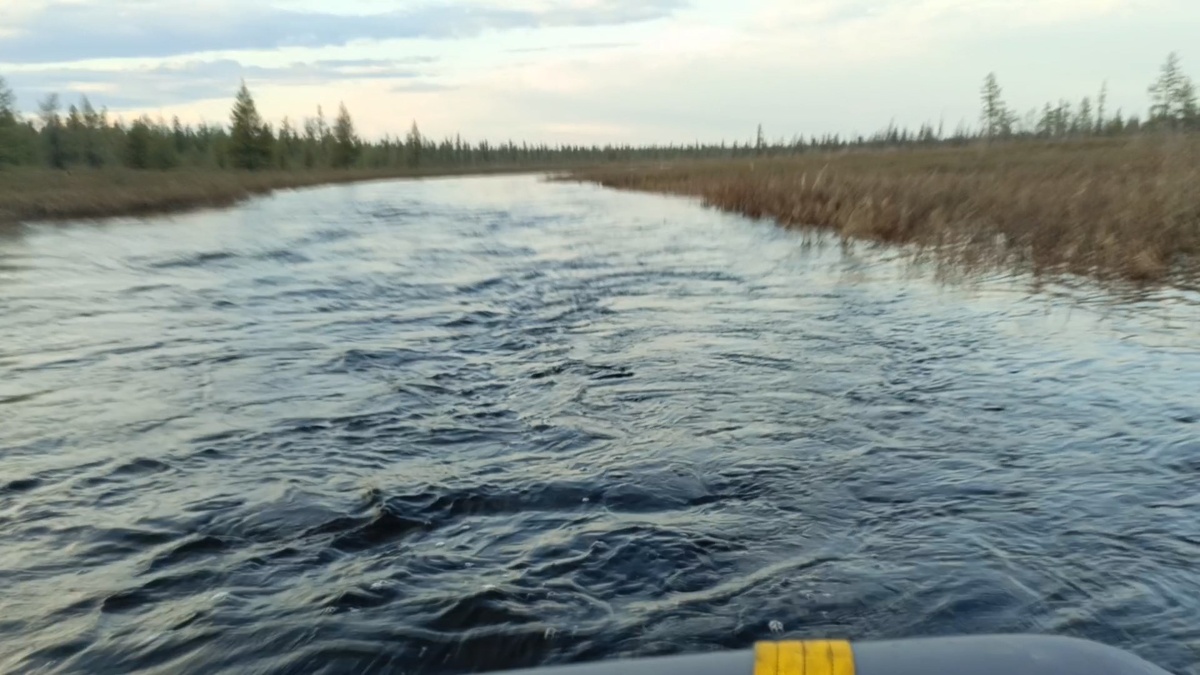 Большая вода Танхой, течение реки Якутия, паводок июнь, перекаты тайга