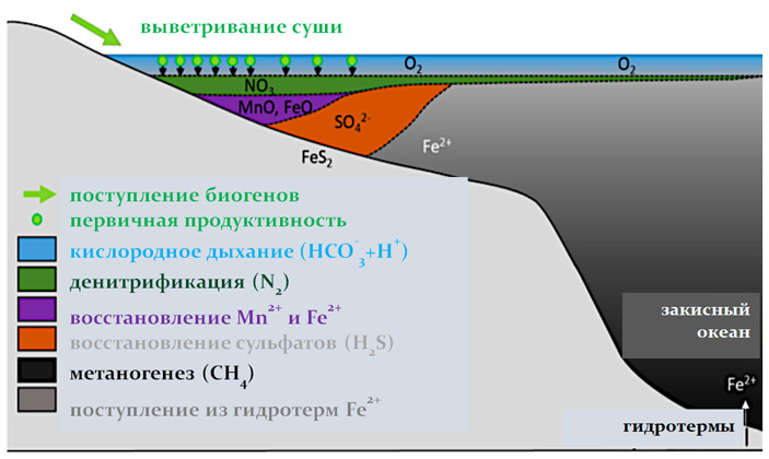 Многообразие способов дыхания в разных частях кембрийских океанов