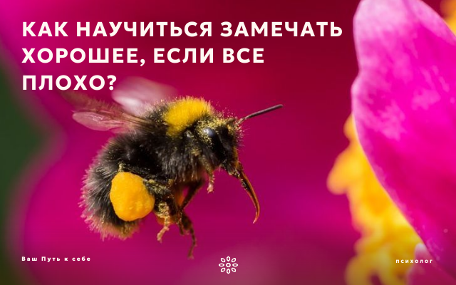 Техника психологической самопомощи