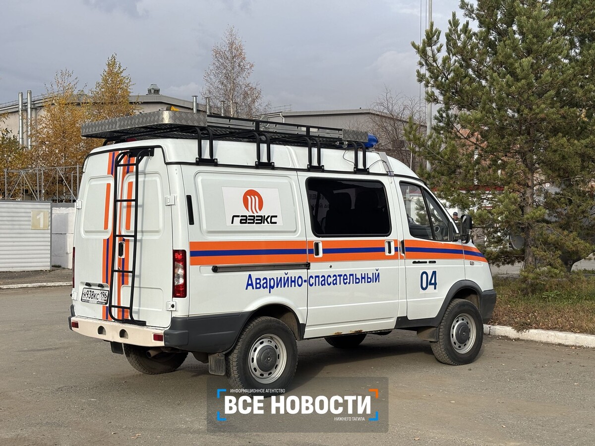 Фото: архив ИА «Все новости»
