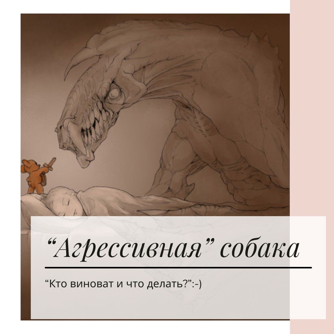 Фото: Агрессивная собака - начинка или страх? Кинолог Екатерина Кастрицкая, консультации онлайн