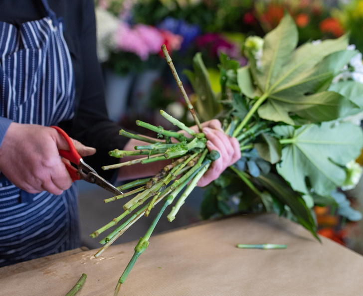 Florist 