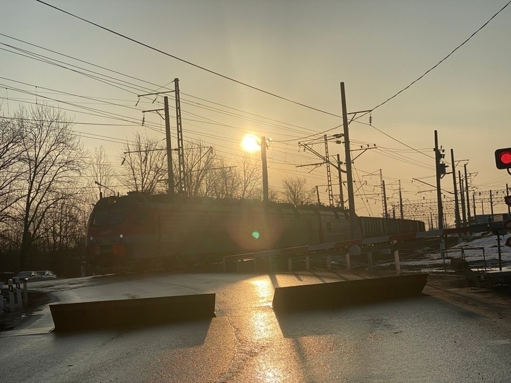     Фото: Алексей Гаврилов