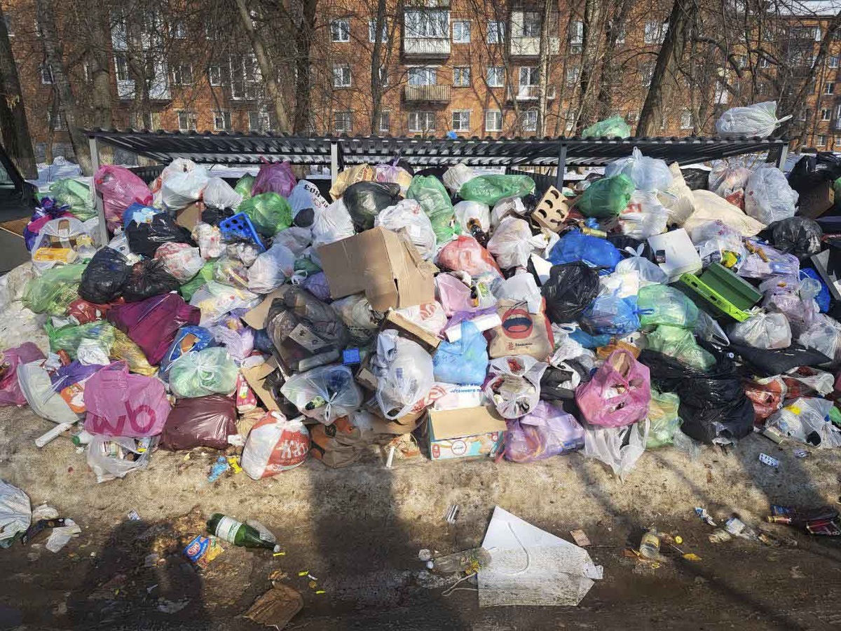 С обысков началось утро в министерстве природы Дагестана.  Фото: Фото: ФедералПресс / Евгений Поторочин