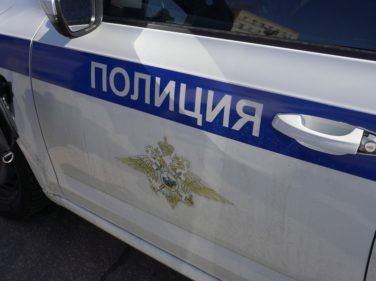     В Амурске сотрудница пункта выдачи заказывала технику и оставляла её себе после «отказа» фото: Таисия Субботина