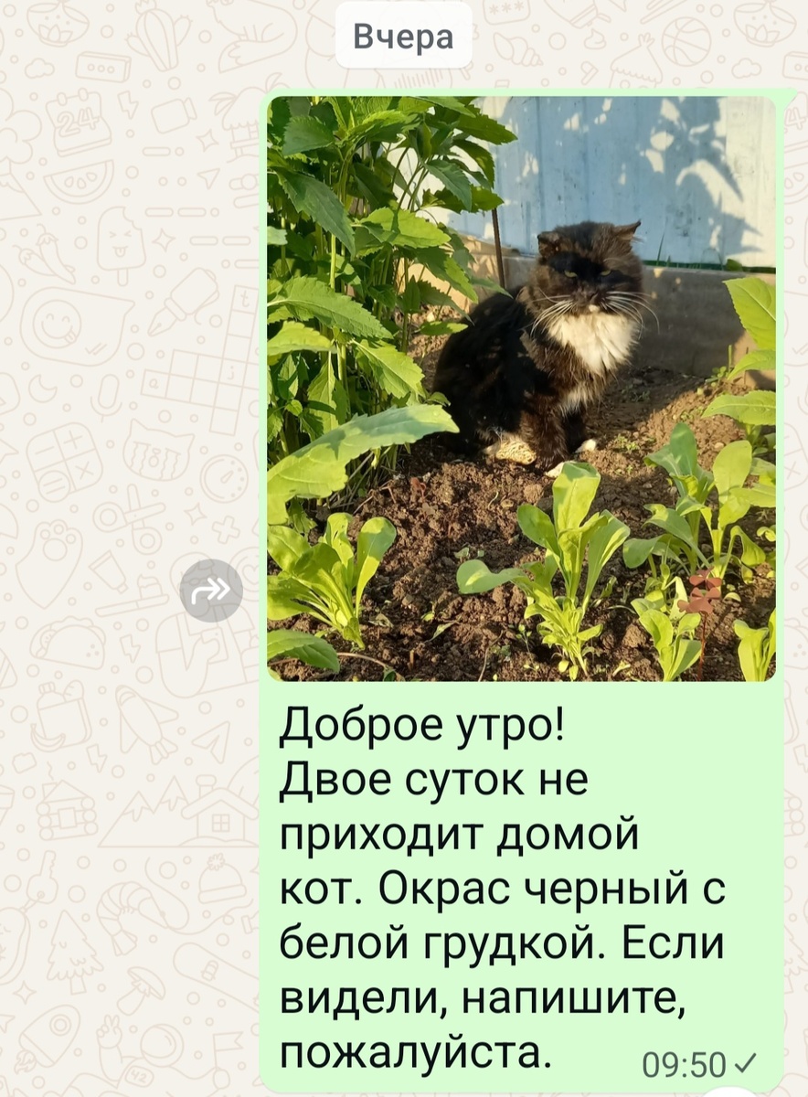 Скрин