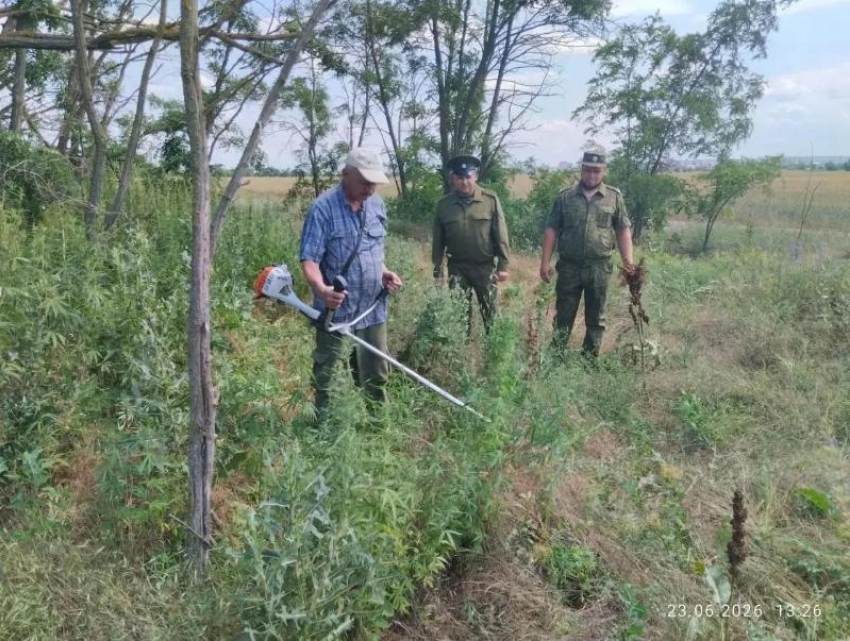 Фото: ДСиГХ Волгодонск Вконтакте