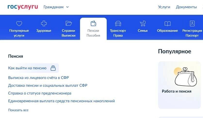   скриншот/gosuslugi.ru