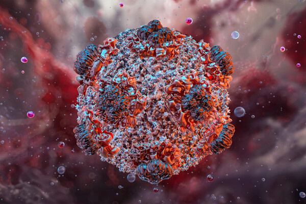 Ruslanas Baranauskas/Science Photo Library   📷