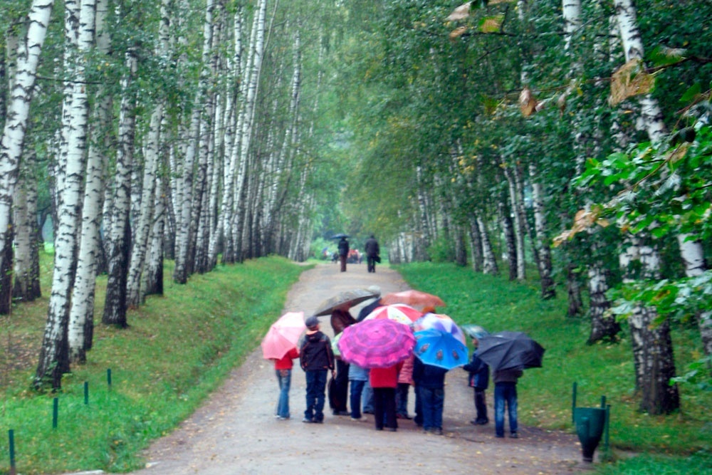    Дети, дождь и Лев Толстой. Главная аллея Ясной Поляны, издавна именуемая "Прешпектом". / Дмитрий Шеваров