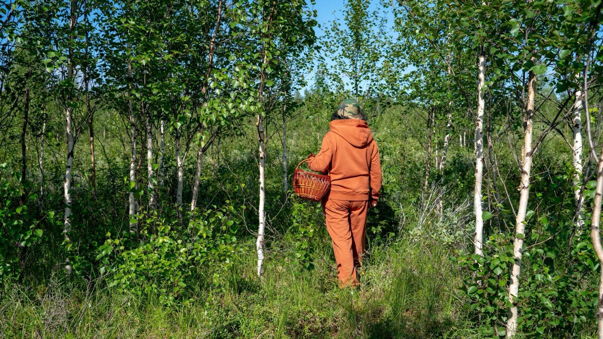    Фото: Сергей Зубков/«Ямал-Медиа»
