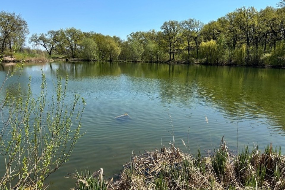    В поселке Петра Дубрава Волжского района есть озеро, в народе именуемое Новым. Фото: предоставлено «КП»