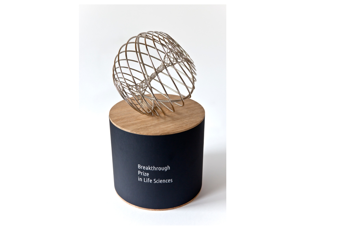 Breakthrough Prize📷Так выглядит статуэтка Breakthrough Prize