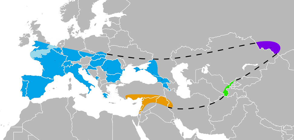 Homo neanderthalensis. Ареал. Геохронология 0,5—0,04 млн лет
