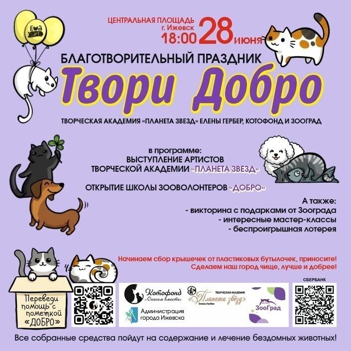   Котофонд/vk.com
