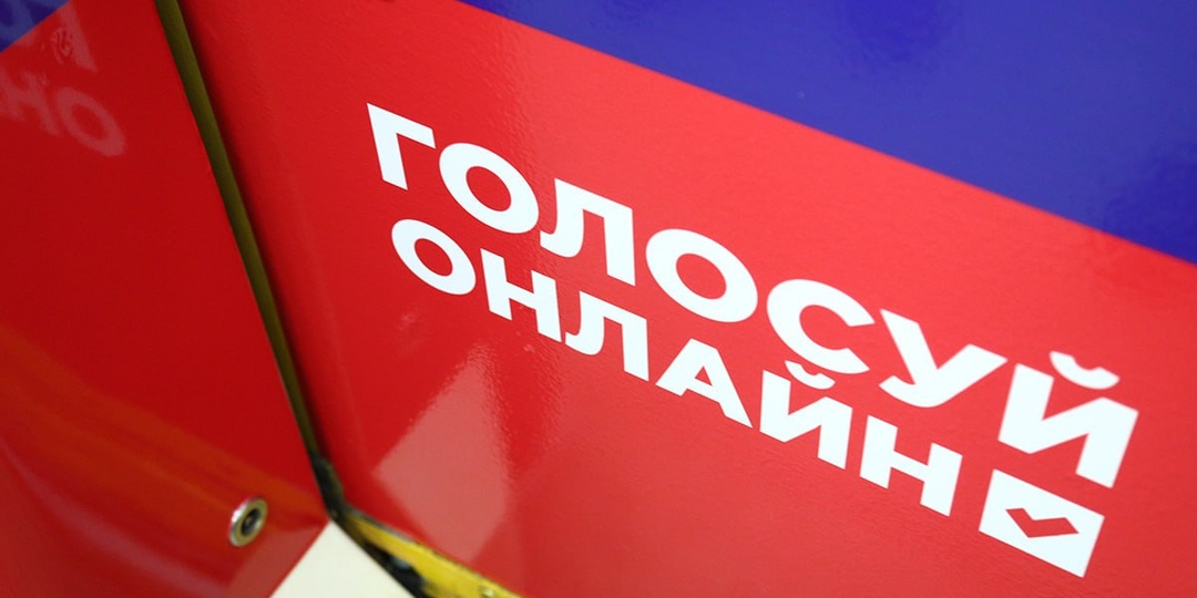 Девять регионов Северо-Запада смогут воспользоваться ДЭГ на выборах в сентябре