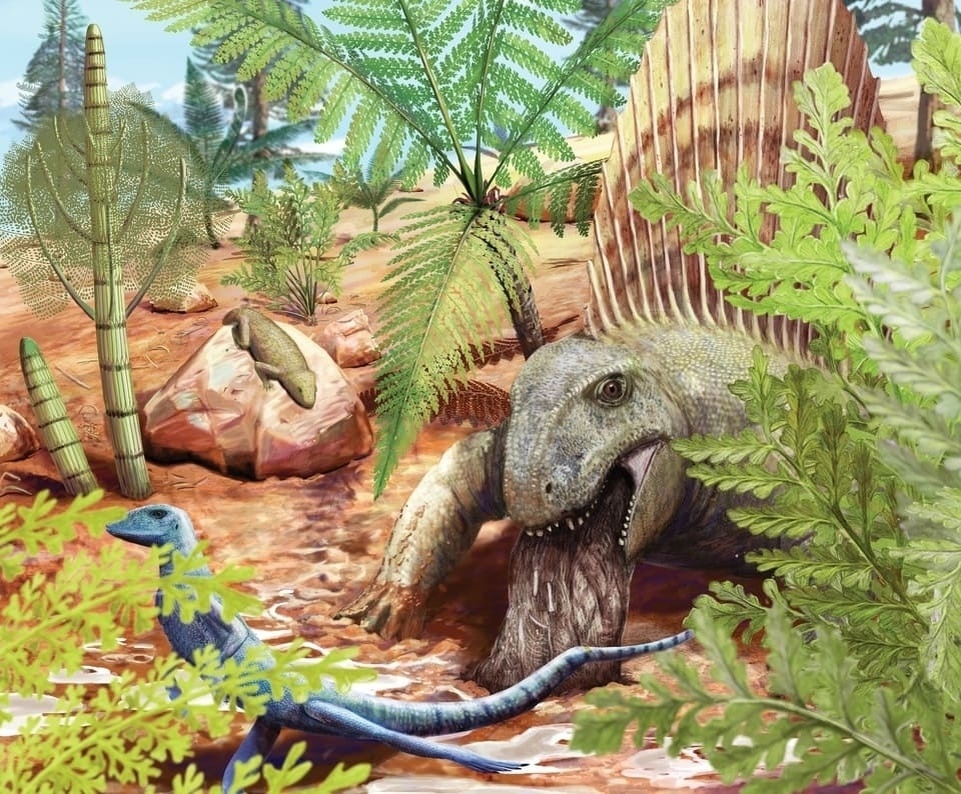 Художественная реконструкция, на которой сфенакодонтид Dimetrodon teutonis отрыгивает остатки пищи (справа). Также здесь изображены болозаврид Eudibamus cursoris (слева внизу) и капторинид Thuringothyris mahlendorffae (слева на камне).