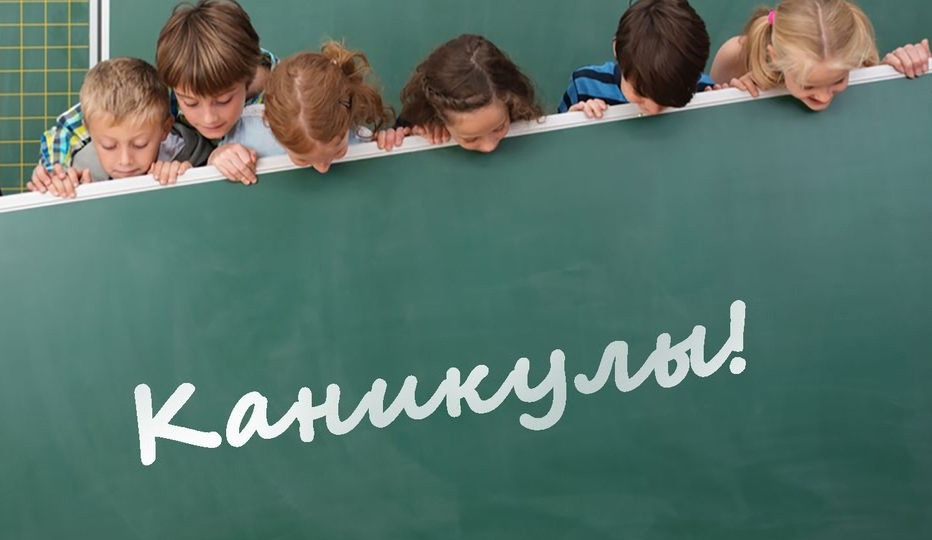 Без каникул: Чем занимаются учителя летом?