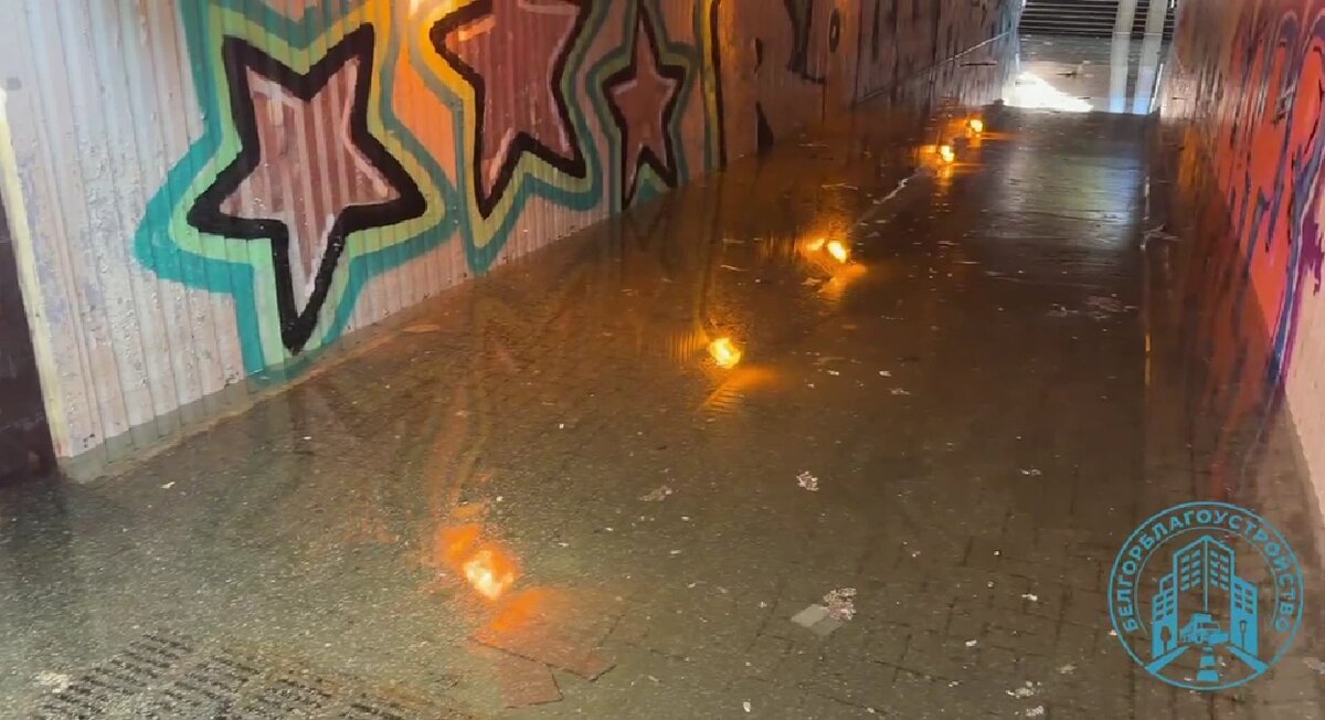    Фото: пресс-служба администрации Белгорода