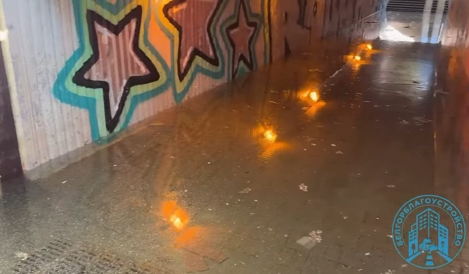    В Белгороде временно перекрыли подземный переход возле рынка «Семейный» скриншот видео
