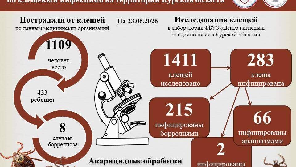 Число пострадавших от укусов клещей в Курской области превысило 1100 человек