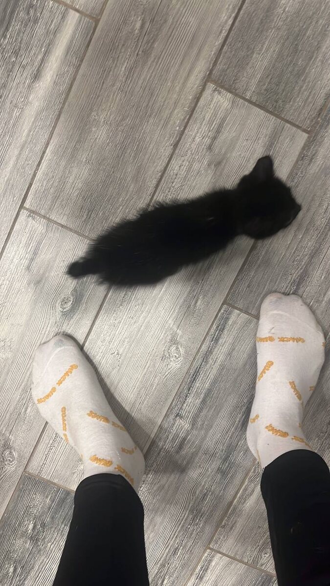 Первые шаги в новом доме🖤