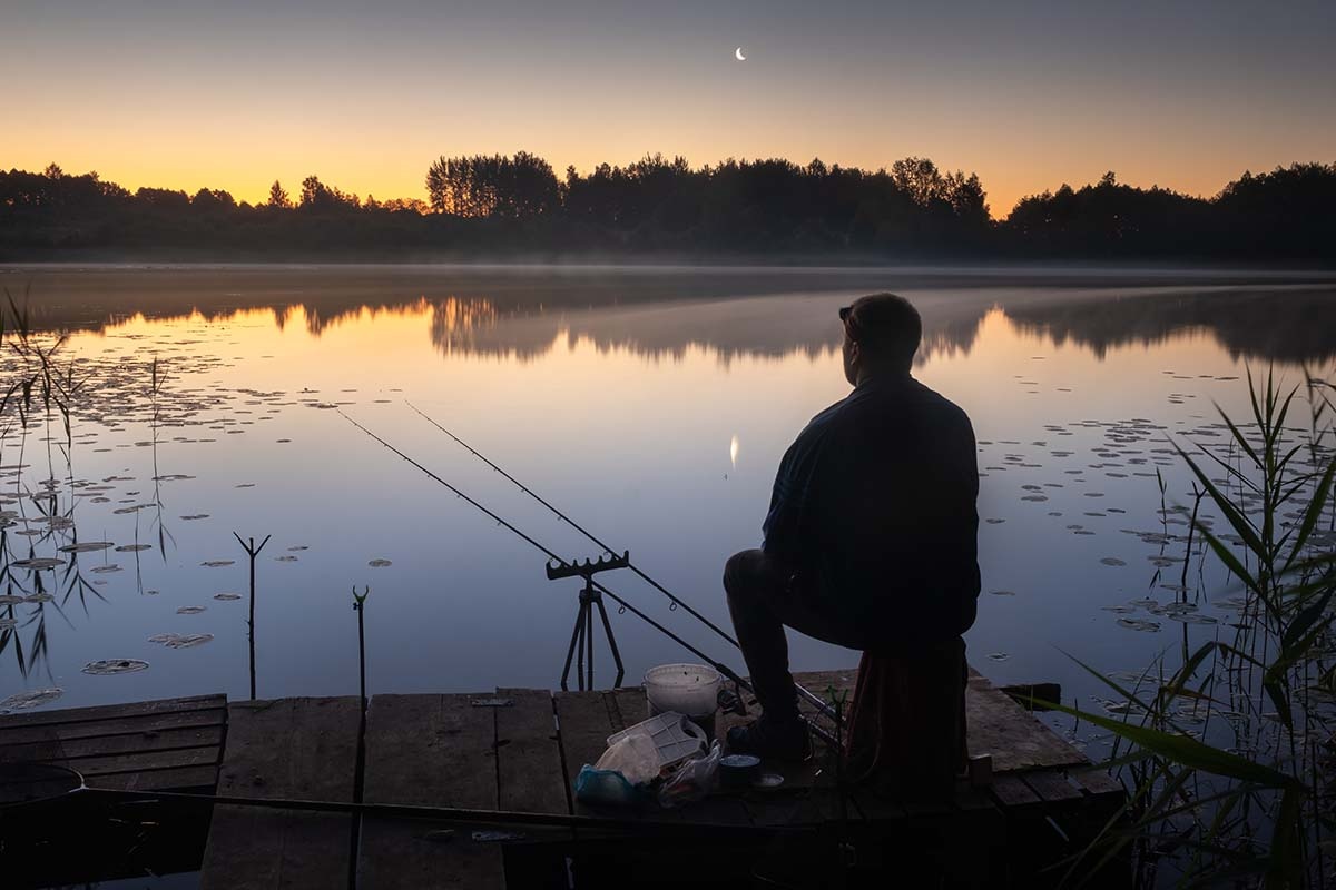    Фото: Lobachad / Shutterstock.com