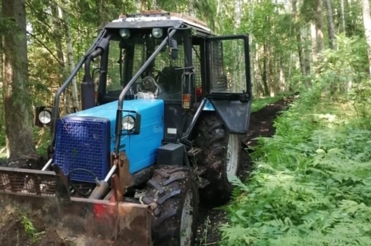    В «Калужских засеках» обновили полосы для защиты леса от пожаров