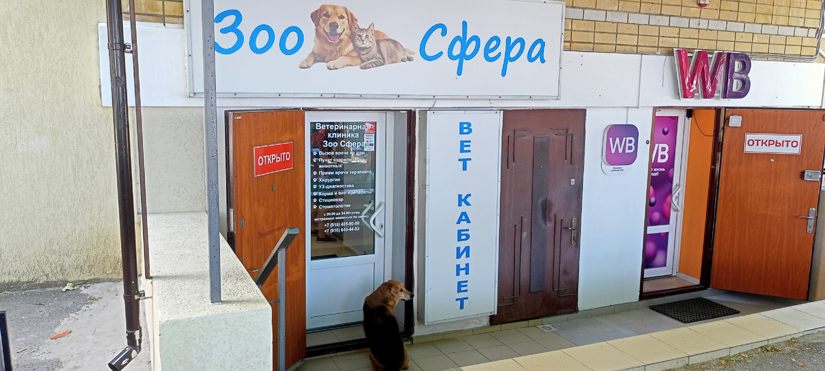 Собака пришла в ветклинику