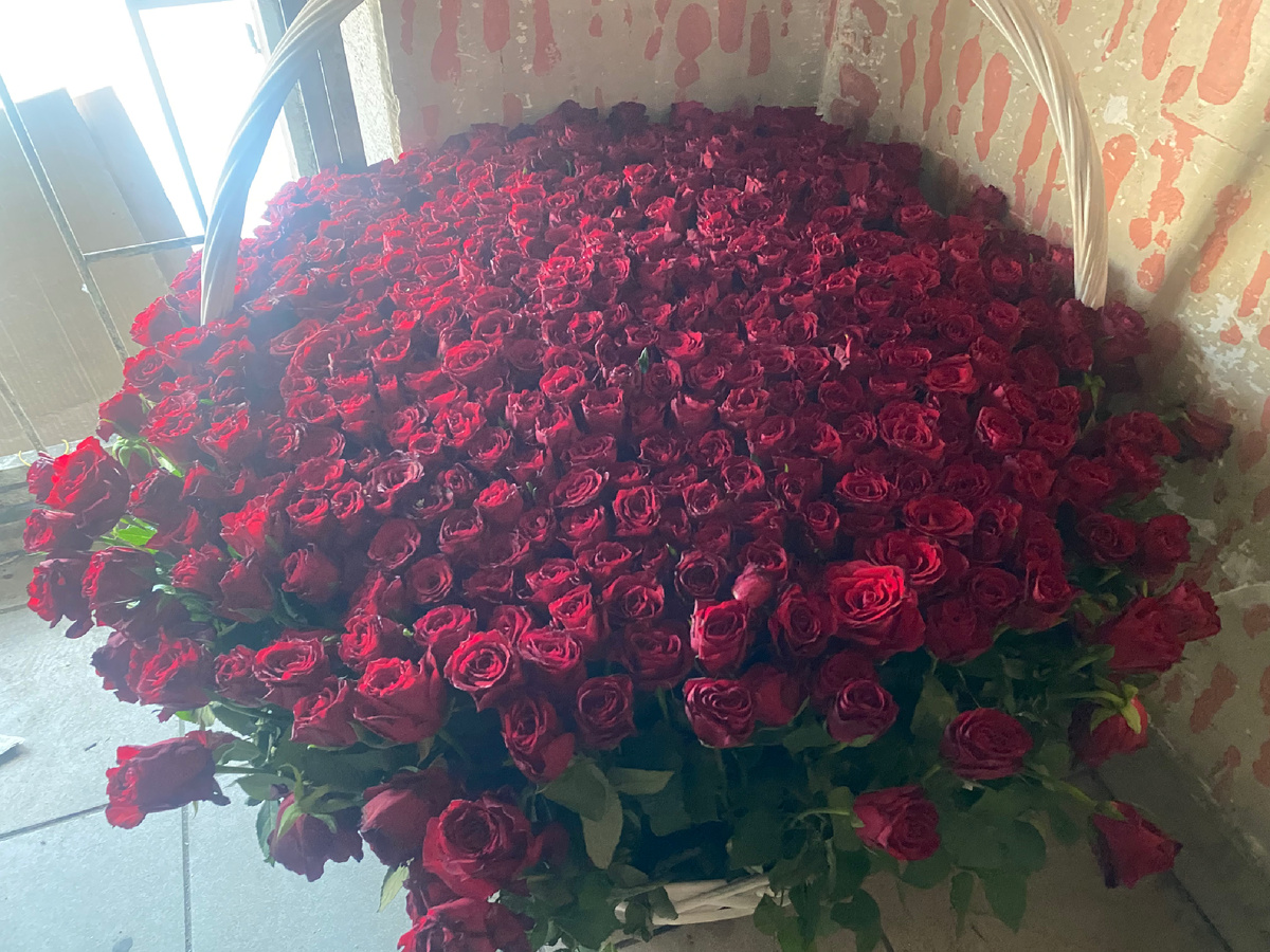601 Роза 