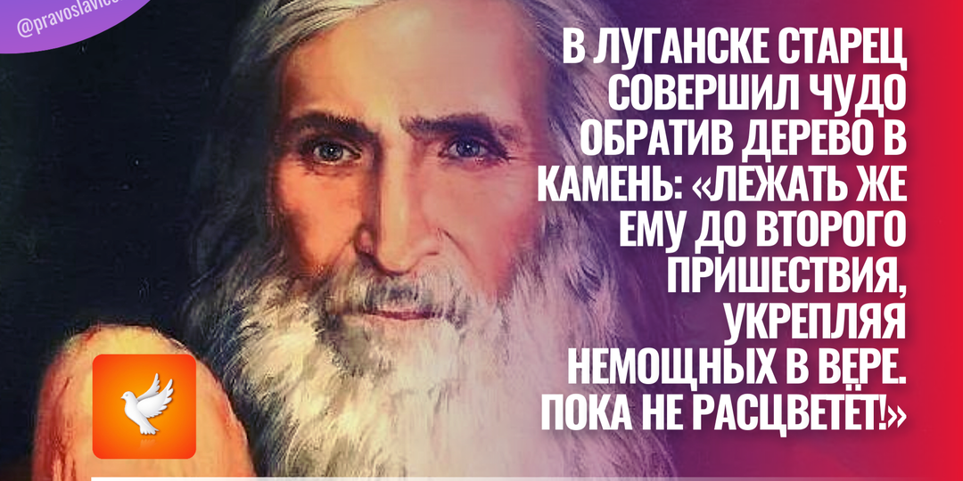 В Луганске старец совершил чудо, обратив дерево в камень: «Лежать же ему до Второго Пришествия, укрепляя немощных в вере. Пока не расцветёт»