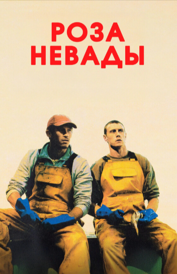 Баннер