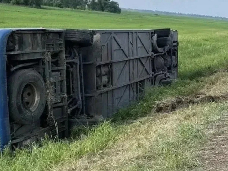     Фото: Госавтоинспекция Алтайского края