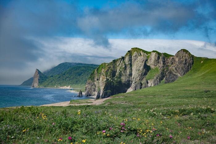 Обложка © Shutterstock / FOTODOM / elly_kei