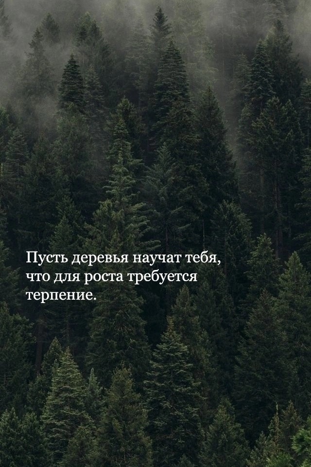Картинка из интернета 
