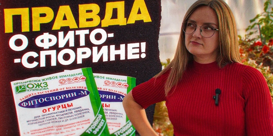 ВСЕ про ПРИМЕНЕНИЕ БАКТЕРИЙ в ОГОРОДЕ: ФИТОСПОРИН, МИКОРИЗА, ТРИХОДЕРМА