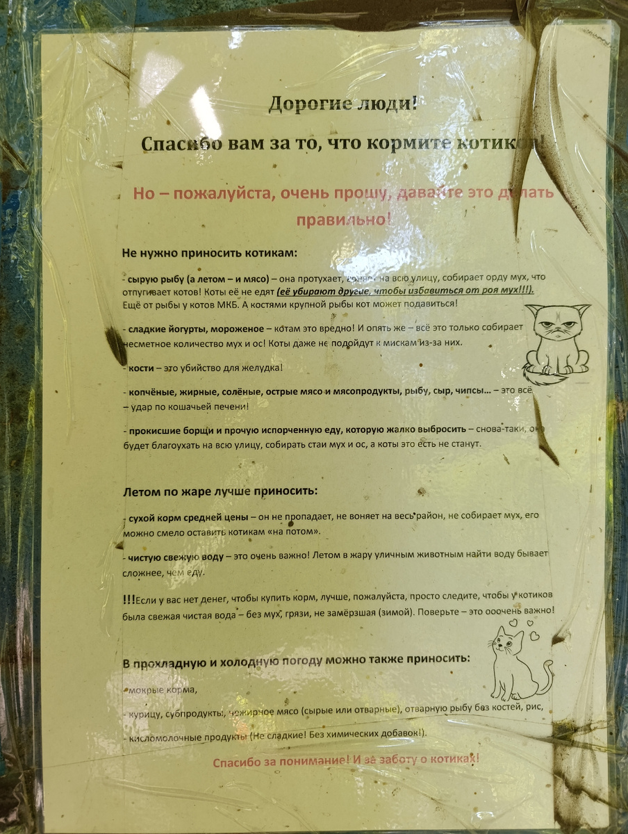 Рекомендации по правильному кормлению уличных котиков в одном из донецких дворов. Я считаю, что осознанная и граммотная помощь животным - это очень важная часть жизни хорошего человека.