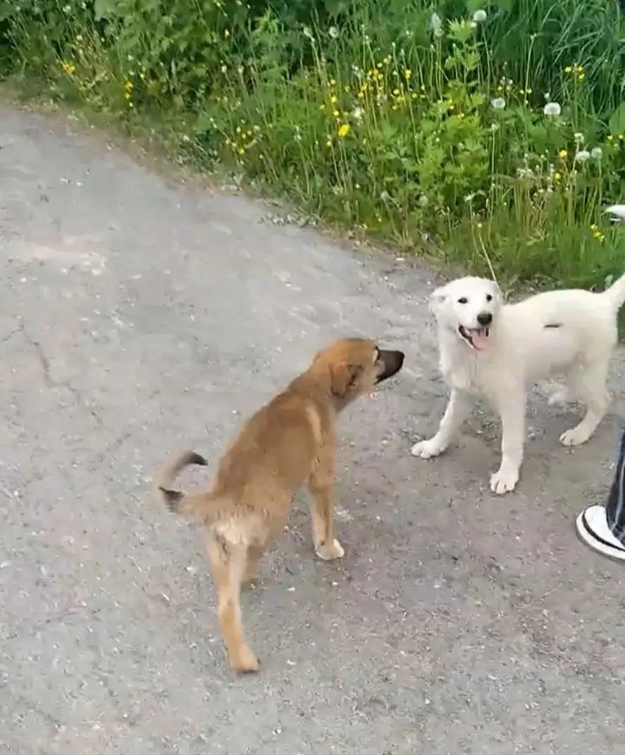 -2