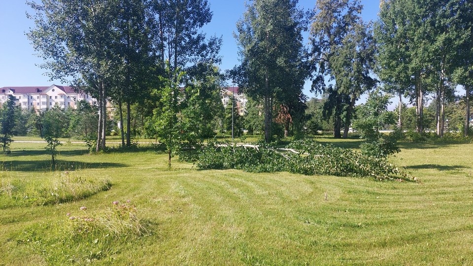    Фото: Типичный Тобольск, ВК.