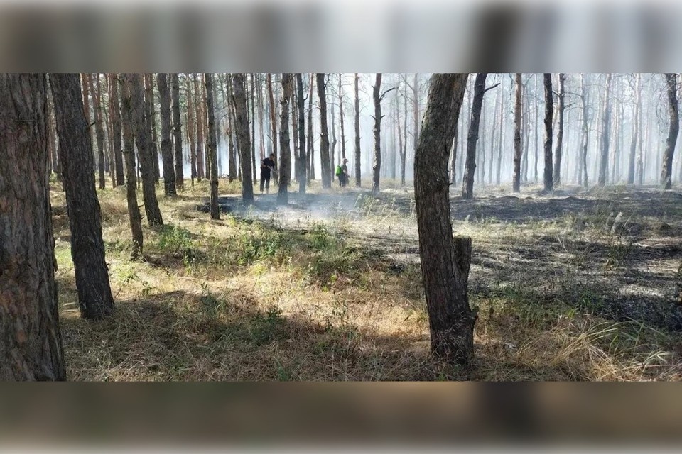    Тушить лесные поджары приходится с риском попасть под бомбы. Фото: минприроды ХО