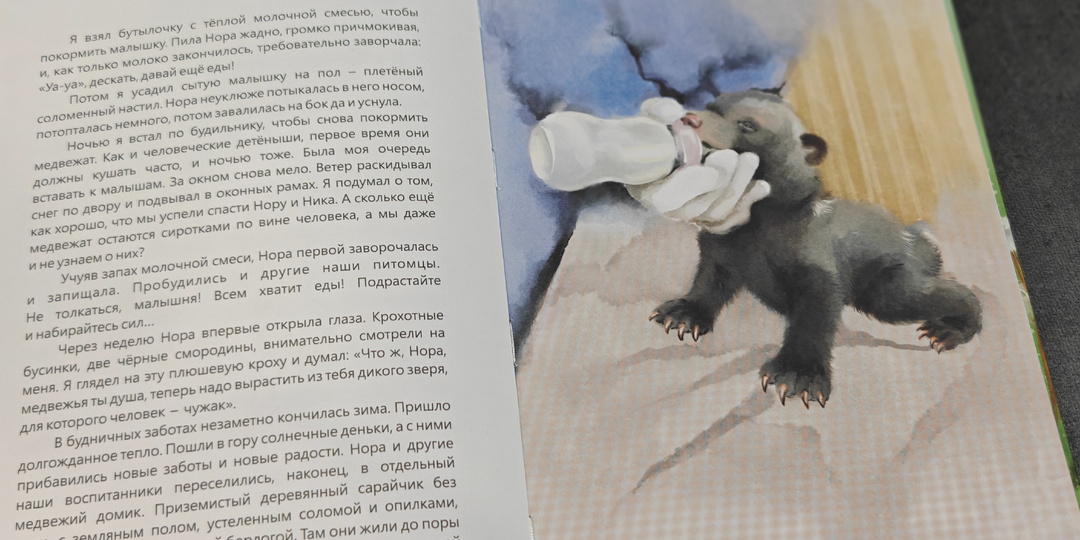 Как выхаживают медвежат