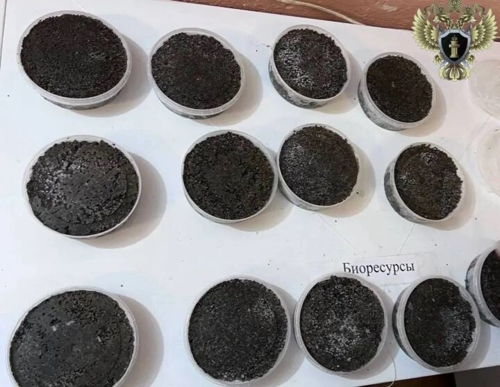    Фото:Прокуратура Хабаровского края