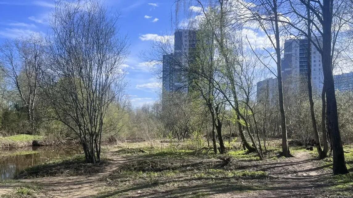    Фото: пресс-служба губернатора Санкт-Петербурга