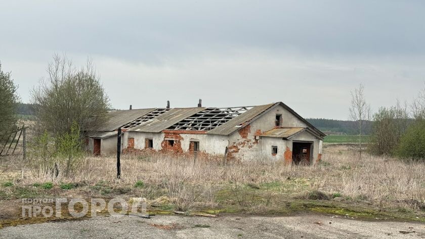    из архива "Про Город"