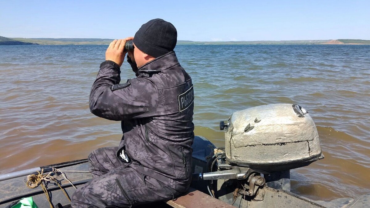    Ущерб в 12 млн рублей: как в Ростовской области боролись с рыбными браконьерами?   1MI