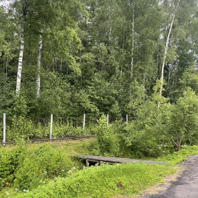 Фото с прогулки.