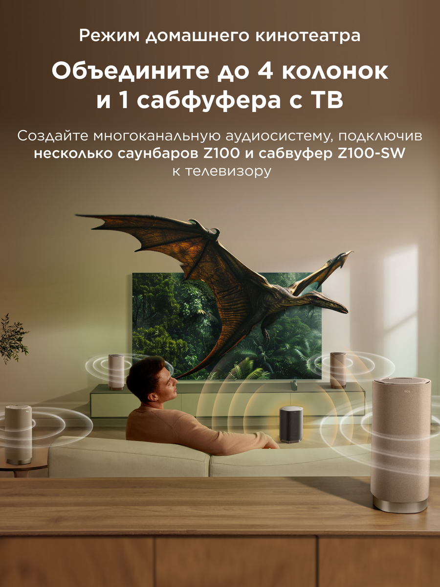    Характеристики TCL Z100-SW