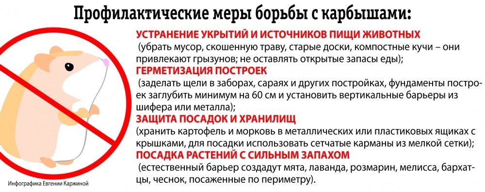    Фото: АиФ/ Евгения Каржина