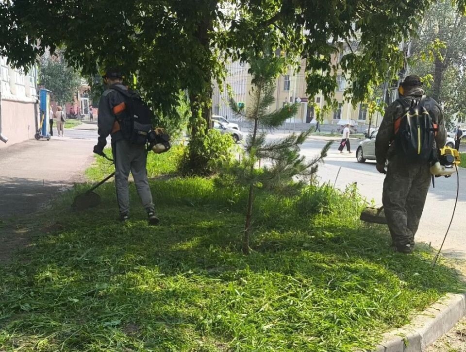    Покос травы в Барнауле. Источник: barnaul.org